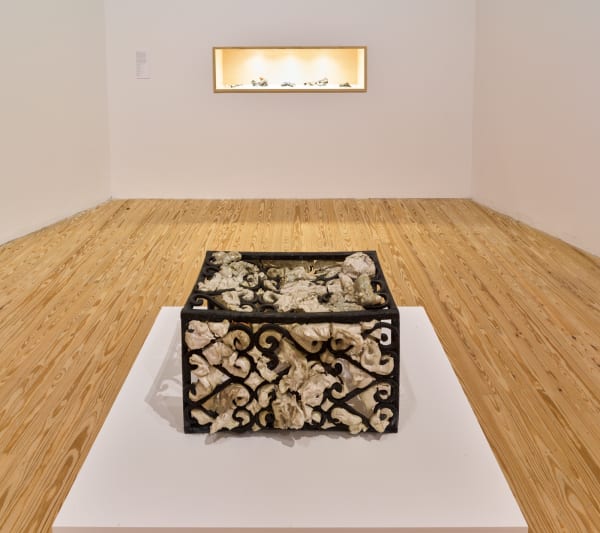 Angeloterocamhinstalls 16