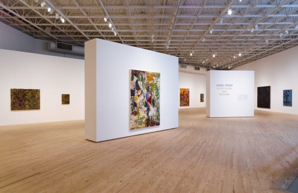 Angeloterocamhinstalls 20