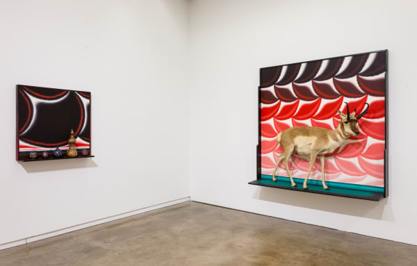 Rogerbrownlaconchita219 9