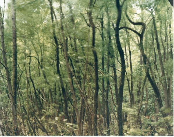 Dem014 Bla Tter Im Wind 72 Dpi