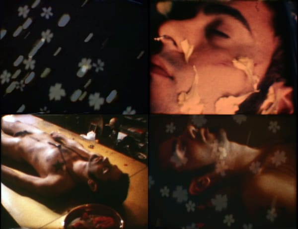 Treleaven Stills Lustre