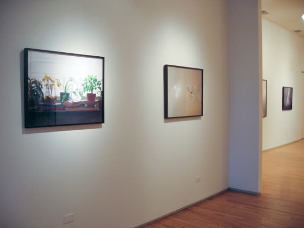 Melanieschiffunderwaterphotographer 9