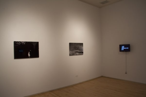 Danica Josh 72Dpi 020