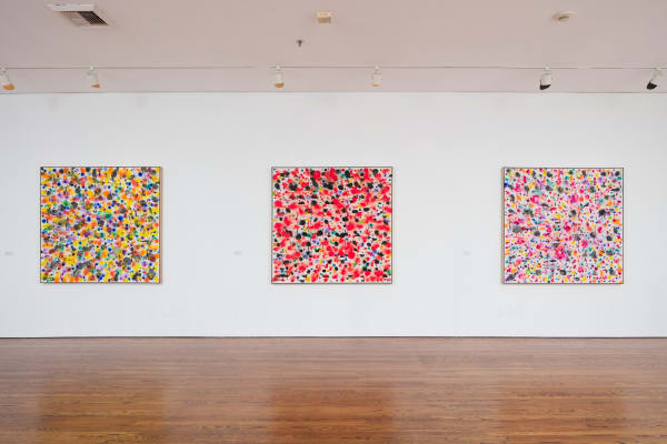 20171119 Bh Chopra 025