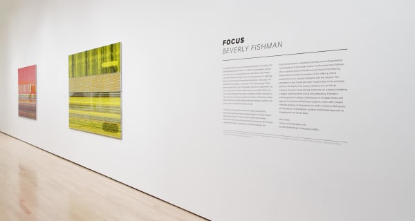 Focus: Beverly Fishman, Installation View, MSU Broad, 2013. Photo: Eat Pomegrante Photography