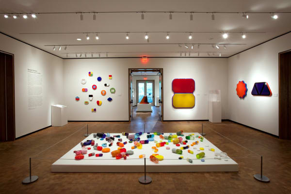 Beverly Fishman: In Sickness and In Health, Installation View, Chrysler Museum of Art, 2015-2016