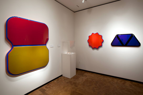 Beverly Fishman: In Sickness and In Health, Installation View, Chrysler Museum of Art, 2015-2016