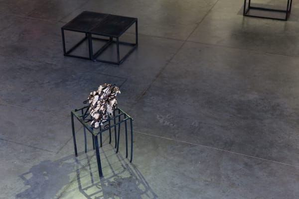 Angeloterocamraleighsmalledit 19