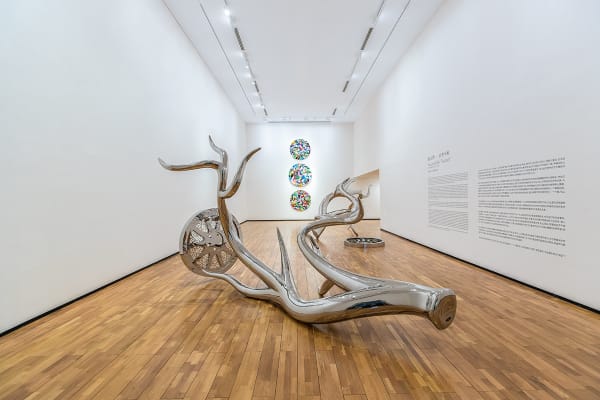 Tomokazu Matsuyama, Accountable Nature