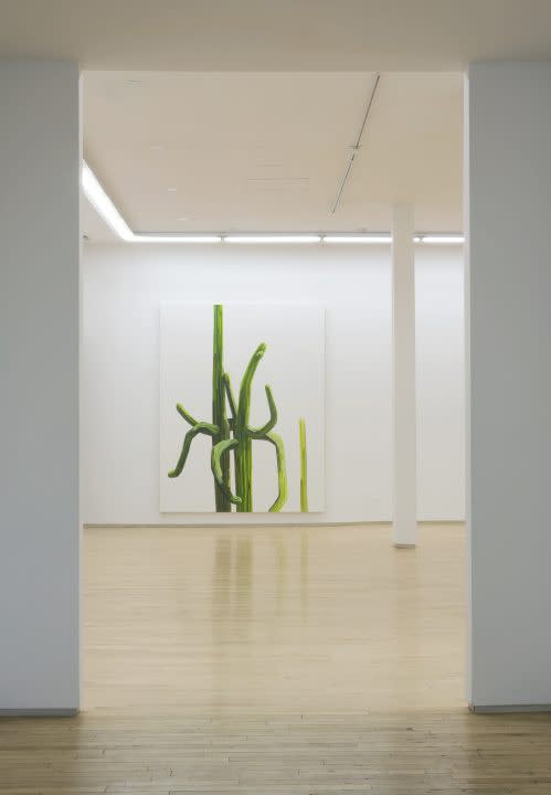 Palmswild001 300 499X720