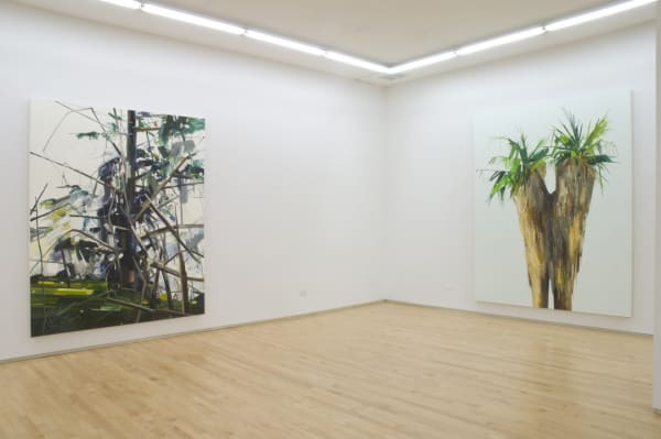 Palmswild007 300 1083X720