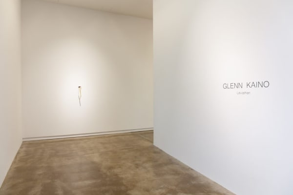 Leviathan Installs 1 300 1080X720