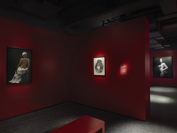 Fotografiska Ny Black Venus 05 22 0233