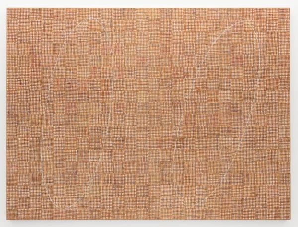 Dna Seasons X 300 944X720