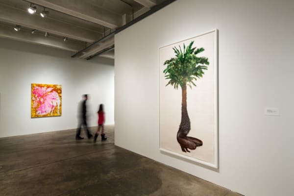 B14E8Ec32072D85D36Cff9E32Ffe0F65