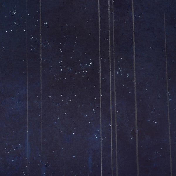 Kaviguptagallery Miya Ando Matsukazu No Shigure Sound Of Drizzle In The Pines 2022