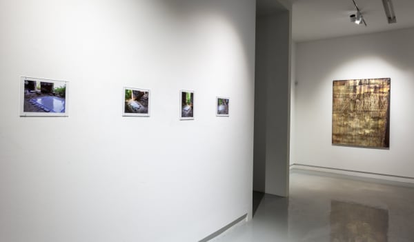 Installation View, Michael Joo, Sensory Meridian, Kavi Gupta | 219 N. Elizabeth St., 2021