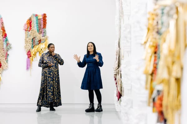 Artist Walkthrough of Osmosis: in the face of the sea with Suchitra Mattai