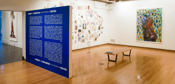 Firelei Báez, Immersion into Compounded Time