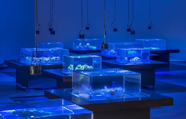 Glenn Kaino, Tank Grand Arts | Kansas City, MO