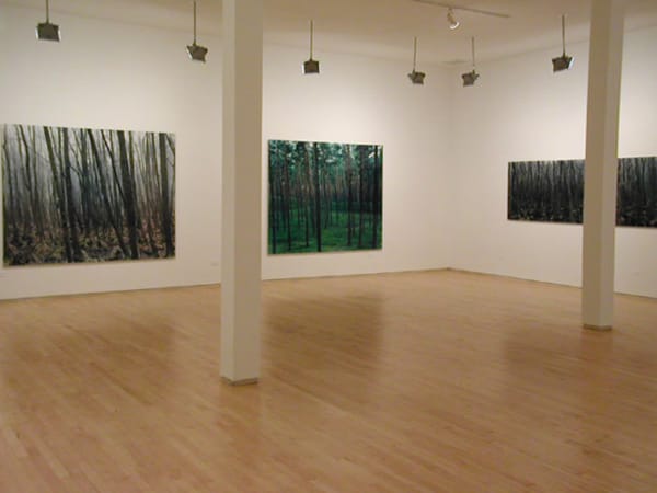 Yannick Demmerle, New Work Kavi Gupta | 835 W. Washington Blvd. Chicago, IL, 60607