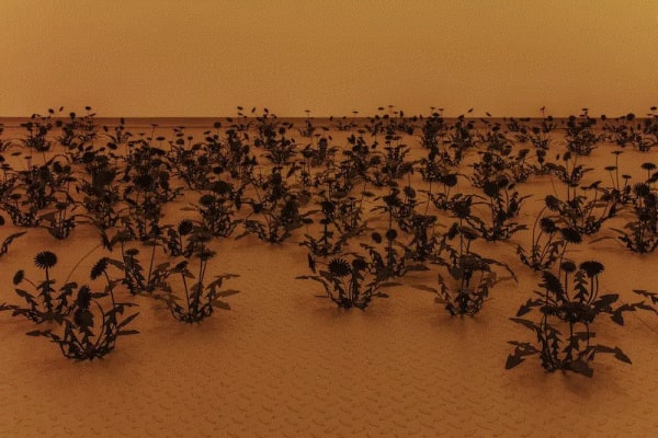 Esmaa Mohamoud: IT CANNOT ALWAYS BE NIGHT