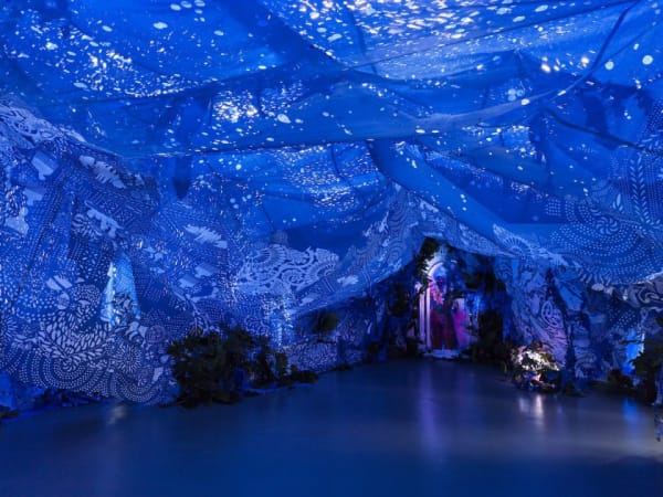 Firelei Báez, New Work