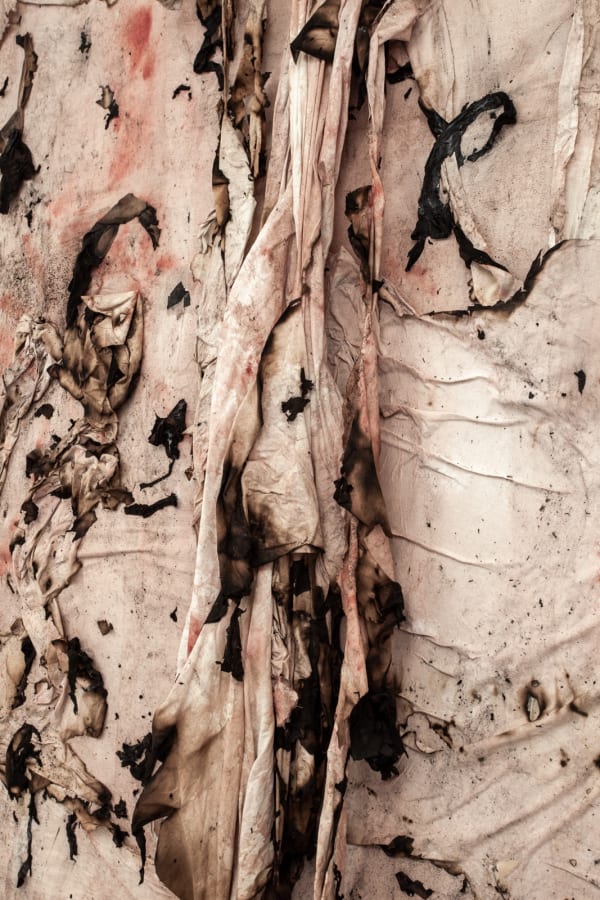 Manuel Mathieu, Resilience - A Landscape of Desire, 2020