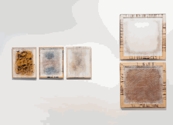 Mansih Nai's work in Origins of a Perennial Bouquet (Courtesy of VHC, the artist, and Kavi Gupta).