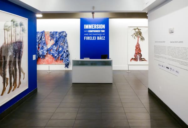 “Immersion into Compounded Time and the Paintings of Firelei Báez” , Installation view, Mennello Museum, 2019