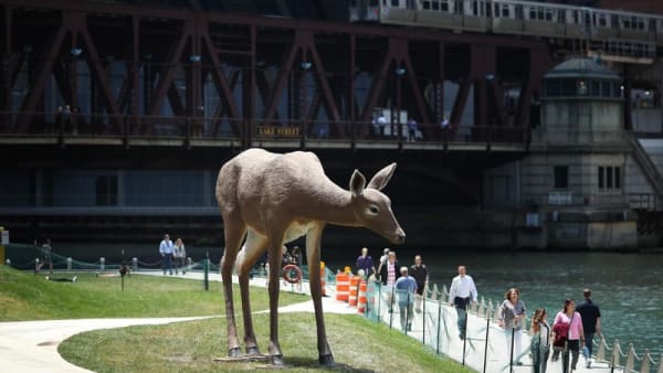 “Deer,” by artist Tony Tasset, has been installed along the newest section of the Chicago Riverwalk between Franklin and Lake streets. (E. Jason Wambsgans/Chicago Tribune)