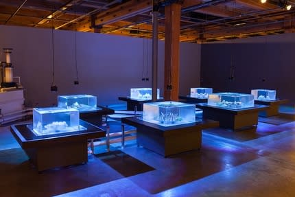 IN NEW ORLEANS, A BIENNIAL ON THE 3-YEAR PLAN