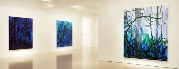 Installation View, Claire Sherman: West Ridge, DC moore, 2016