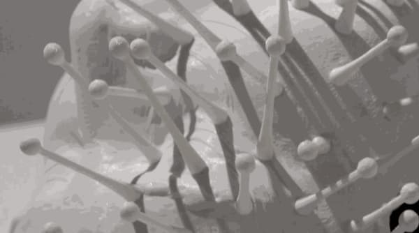 Michael Joo, Sensory Meridian, 2021