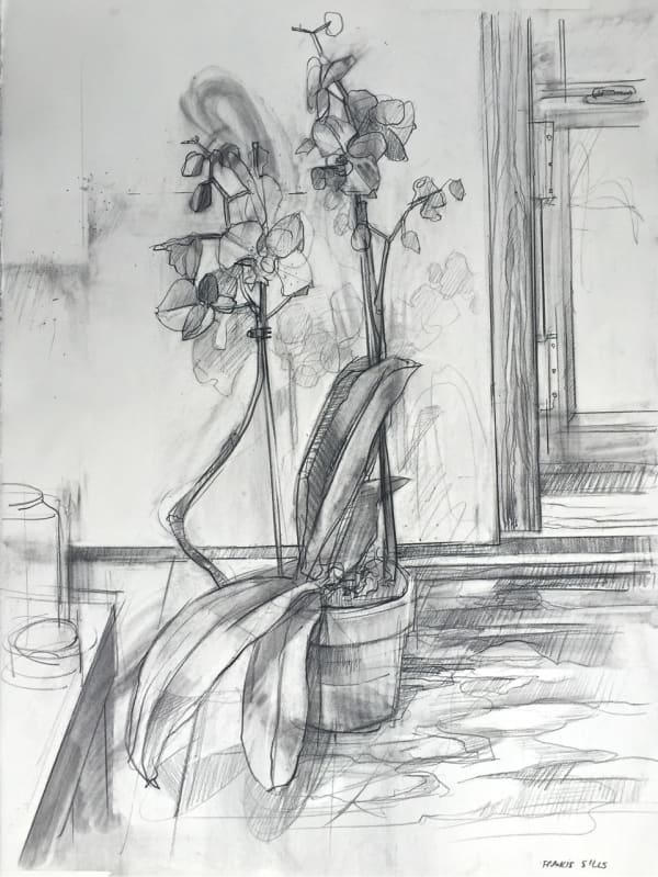 Sillsorchid34X26Sold