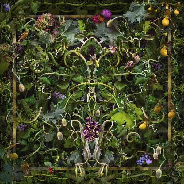 Frankfearedloved45 5X44Sold