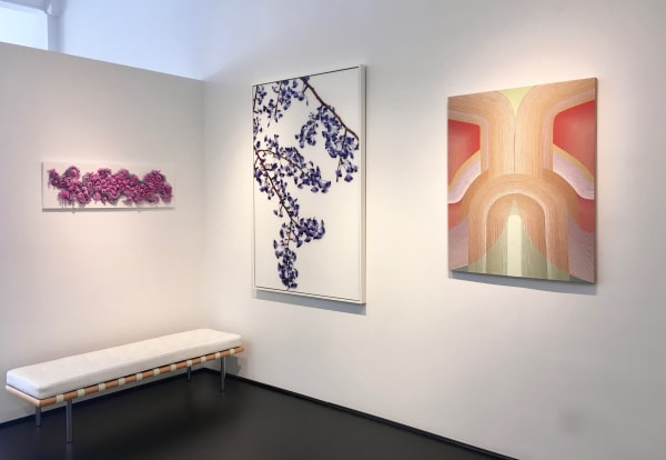 Crazybeautlatsonbattenkemp Copy