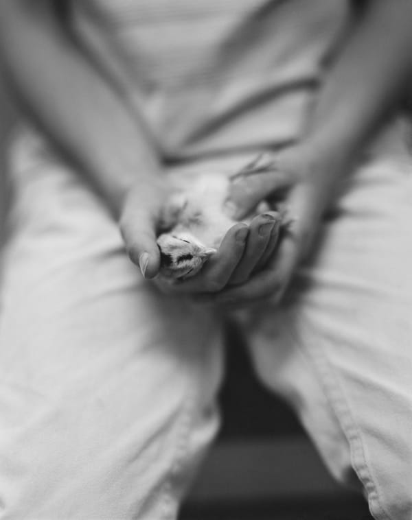 Cheryl St. Onge and Joni Sternbach two-person exhibition