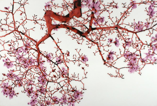 You Never Know Just How it Looks Through Other People's Eyes