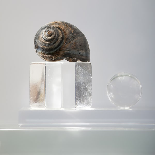 PHOTO 15' Group exhibition