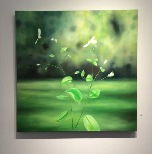 Special Summertime Offer Robert Flynn