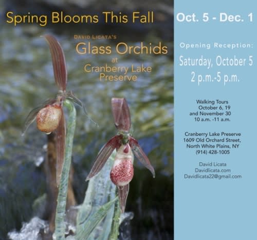 Kenise Barnes Fine Art was proud to support gallery artist David Licata as he led walking tours through Cranberry Lake Preserve to show and discuss his glass orchid installations.