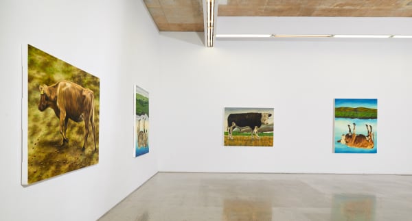 Dermot Seymour Installation 01