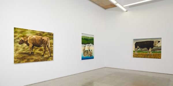 Dermot Seymour Installation 04