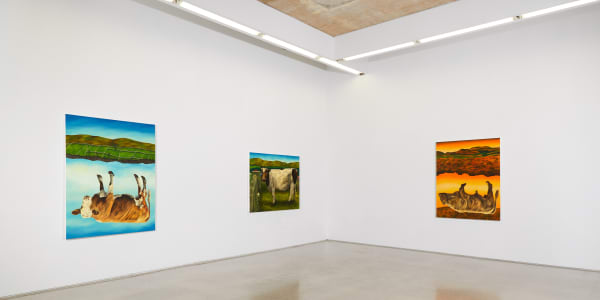 Dermot Seymour Installation 06