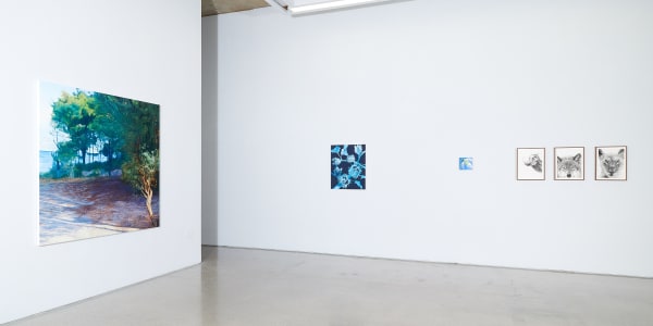 Paul Mckinley Installation 07
