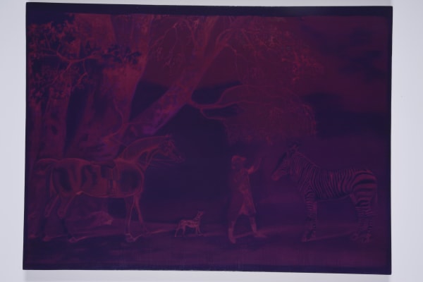 PAUL NUGENT, ARRANGEMENT, 2010