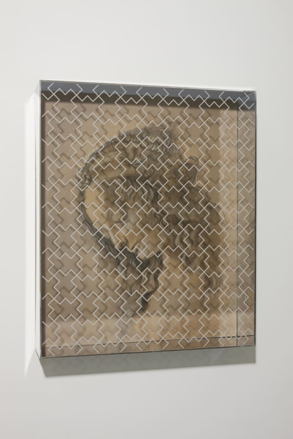 ROXANA MANOUCHEHRI, ENIGMA 9, 2013