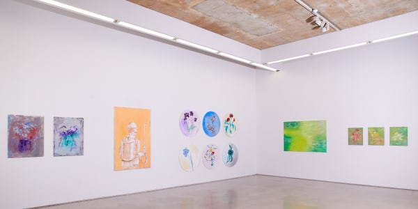 Michael Coleman Installation 03