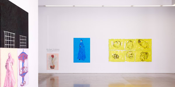 Michael Coleman Installation 09